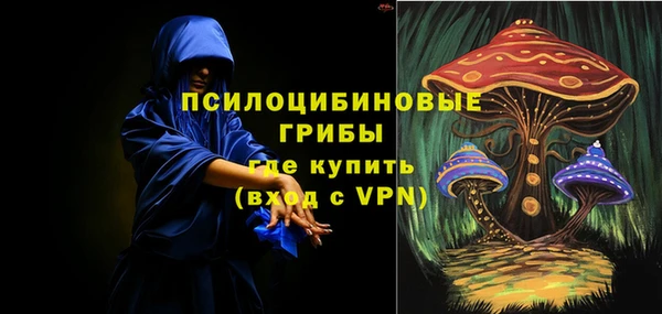 СК Волосово